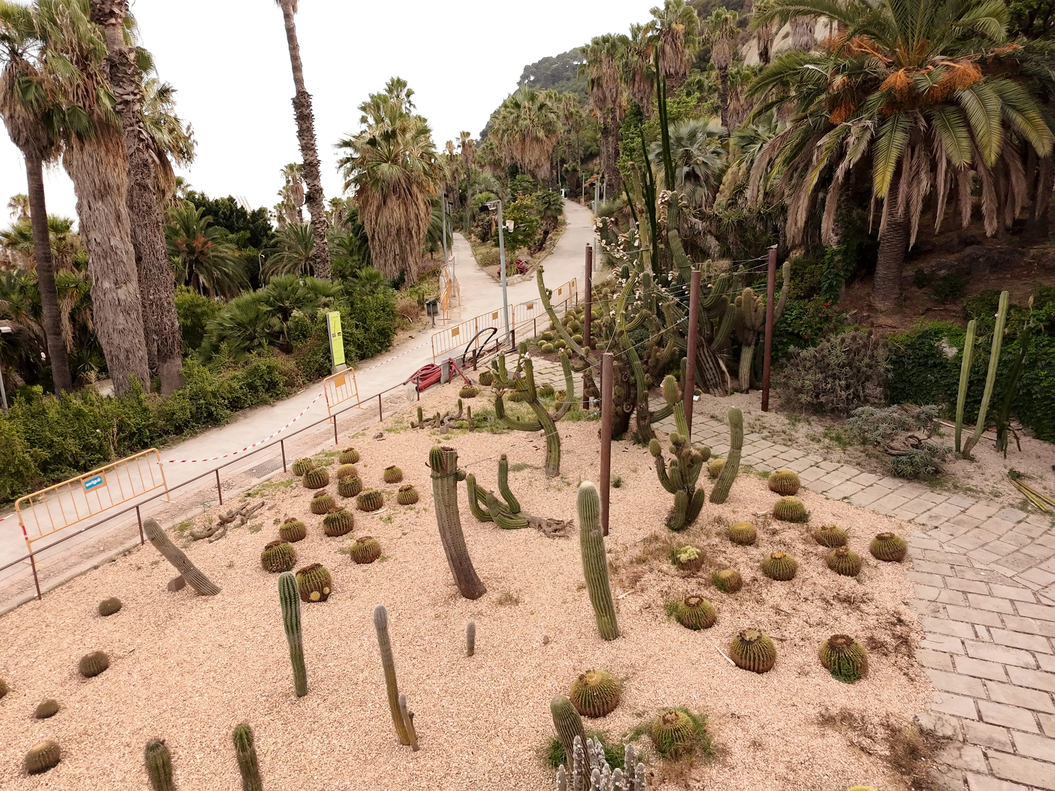 Parque de Cactus de Montjuïc – Barcelona (2)