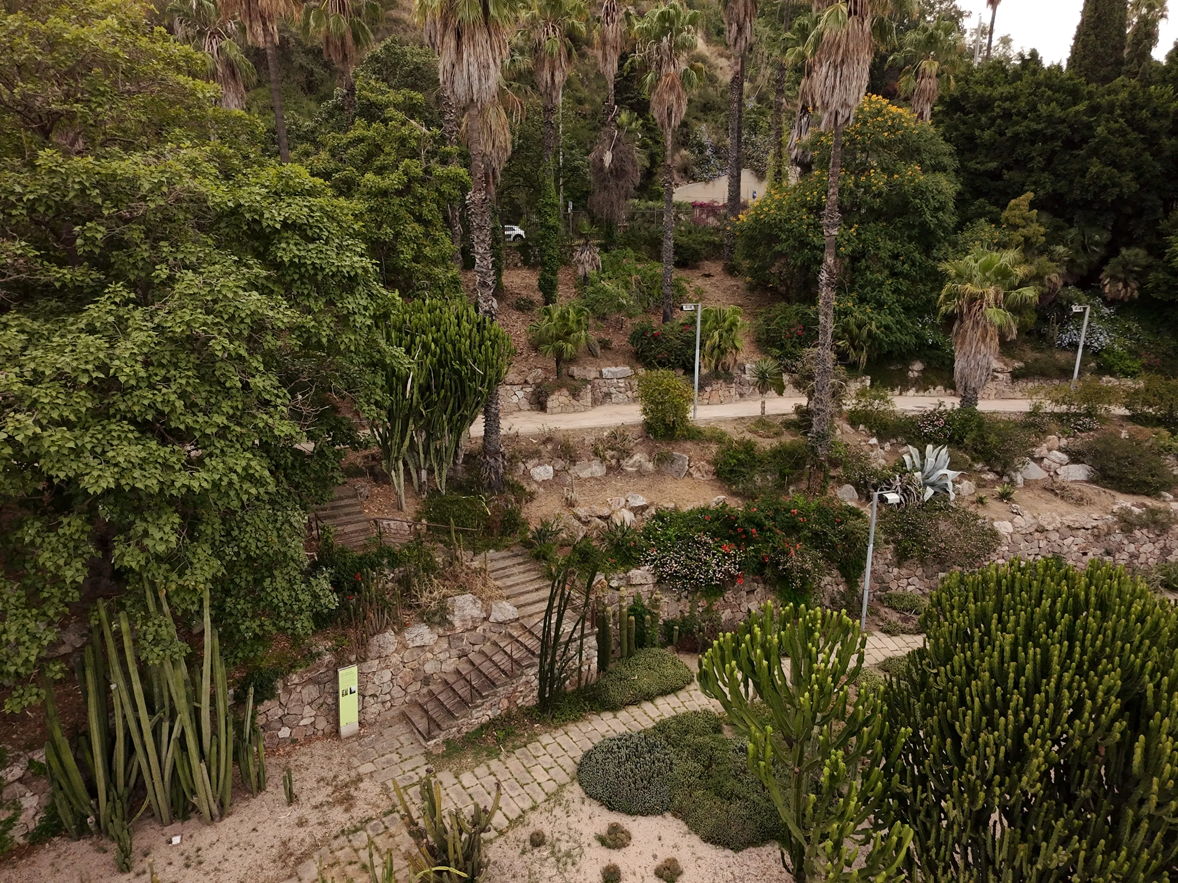 Parque de Cactus de Montjuïc – Barcelona (4)