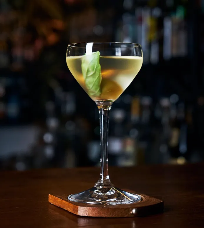 Botanista Bar – Valencia (2)