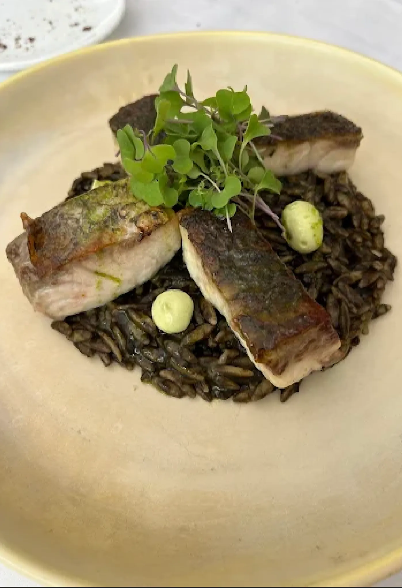 PONCIO – Madrid (6)