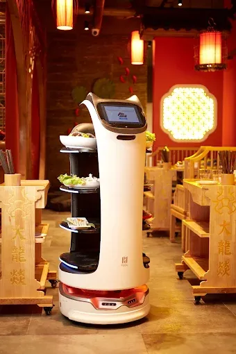 Da Long Yi Hot Pot – Bilbao (6)