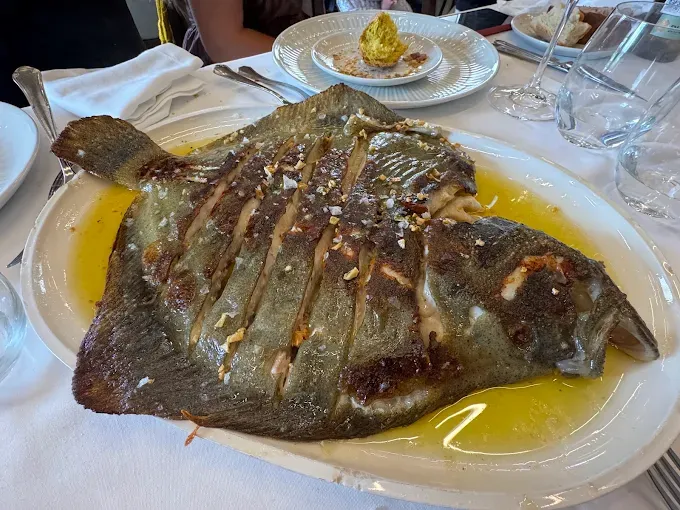 Casa Garras – Concha (4)