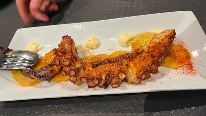 Casa Garras – Concha (6)