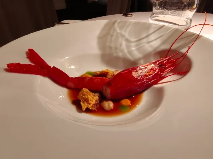 Angle – Barcelona (5)