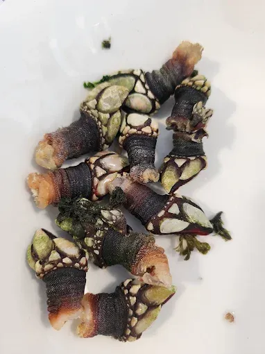 Asador El Tronky – Santander (3)